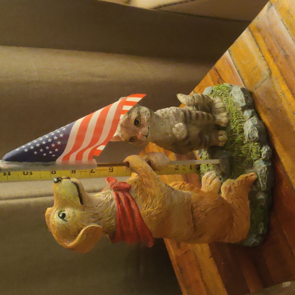 Patriotic Dog & Cat